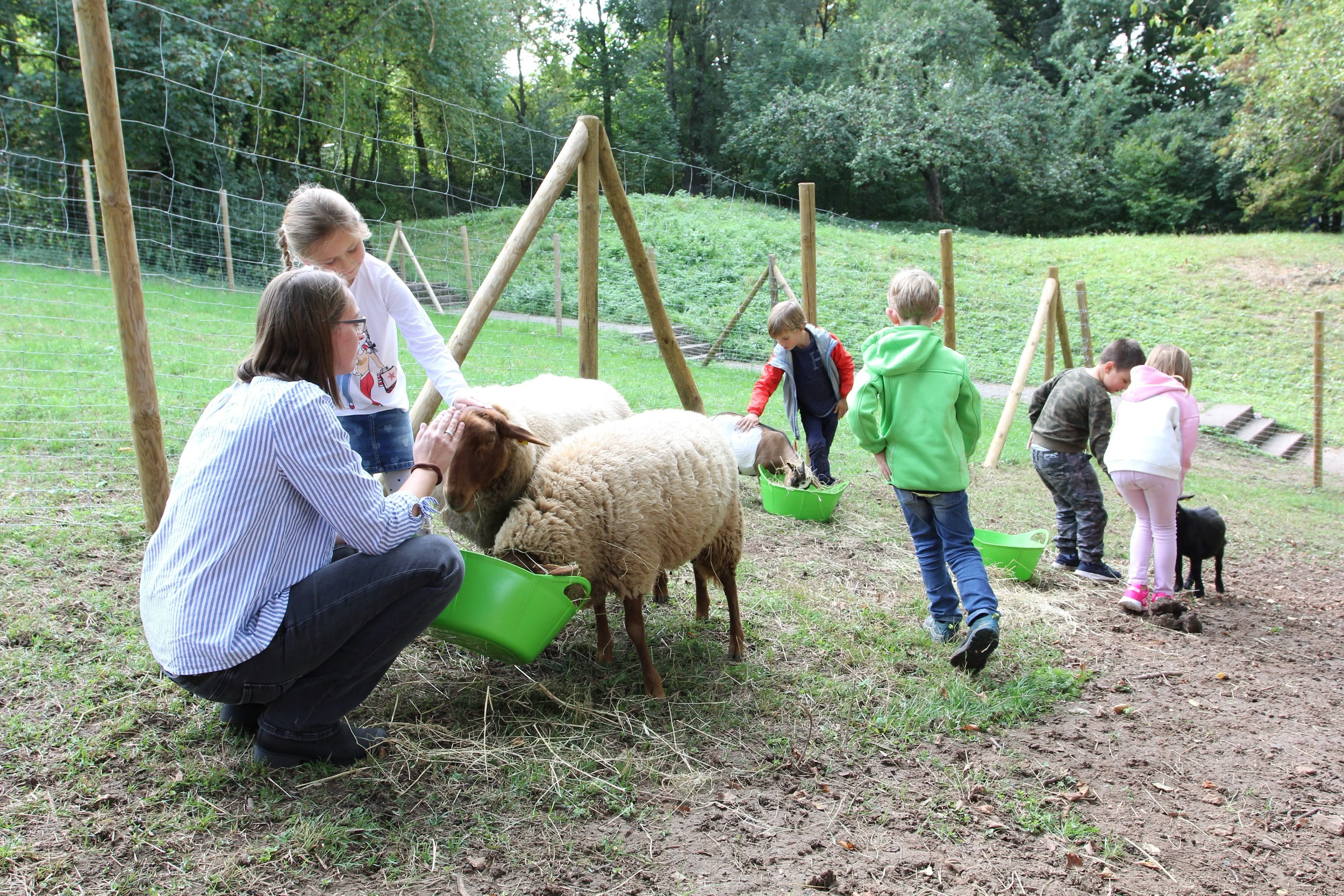 rauchbeinschule-fuetterung-kinder Fütterung Tiere