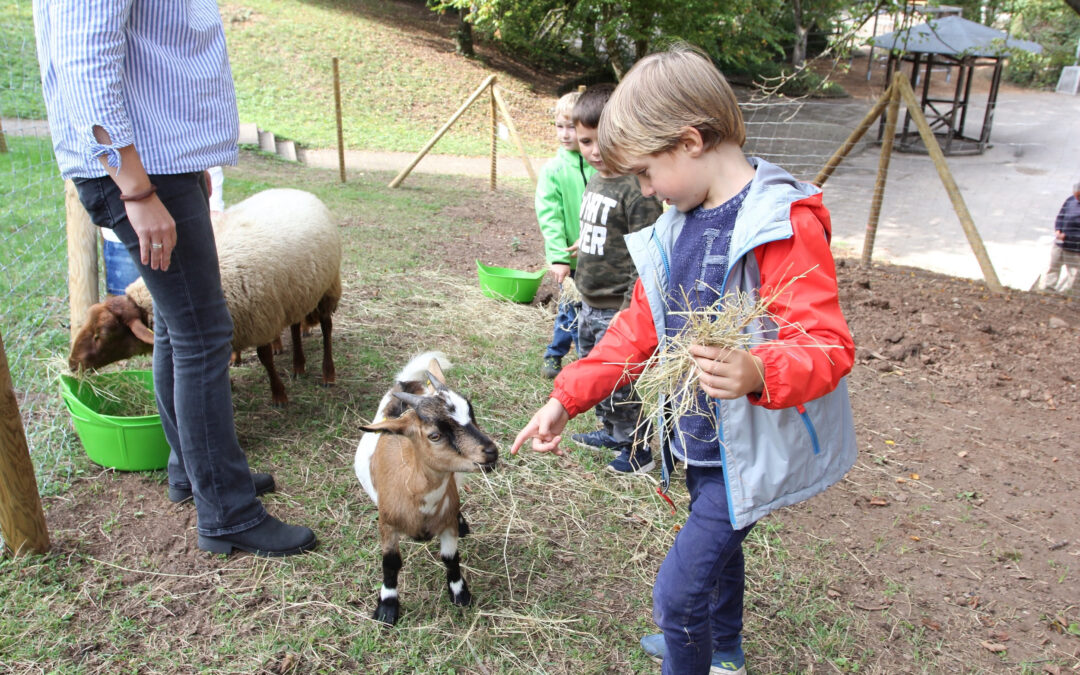 Schullandaufenthalt der Klassen 4a und 4b sowie der Eulenklasse vom 22.09.-24.09.21