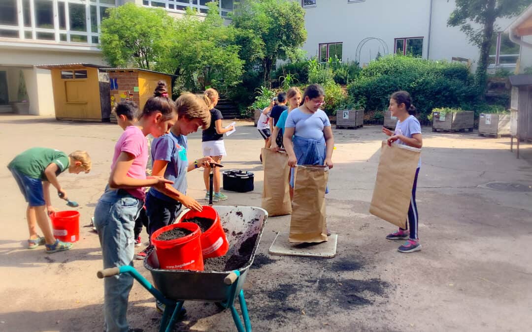 Projekt „Cool down – mit Pflanzenkohle die Klimakrise lösen?“