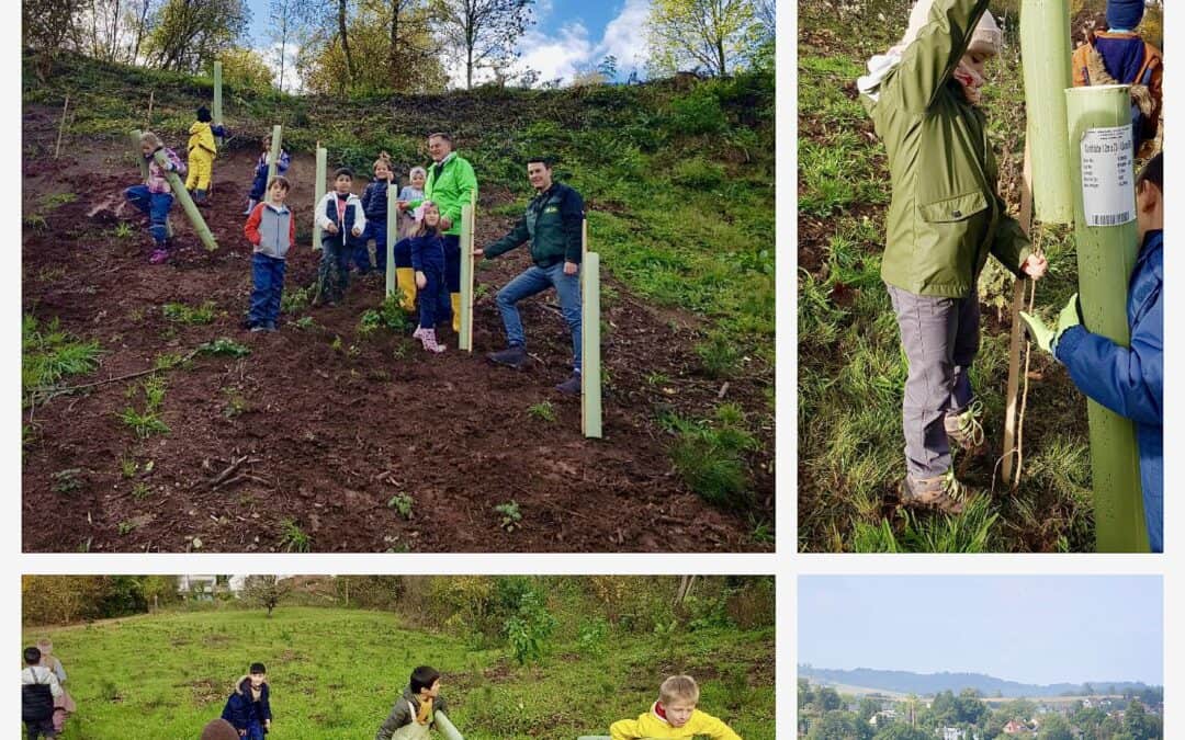 Herz-Wald-Aktion