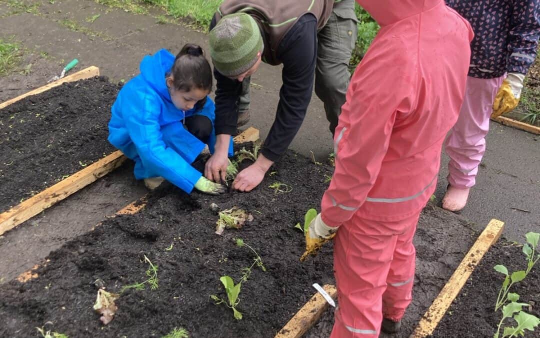 Schüler der Rauchbeinschule starten mit Begeisterung in Ackersaison