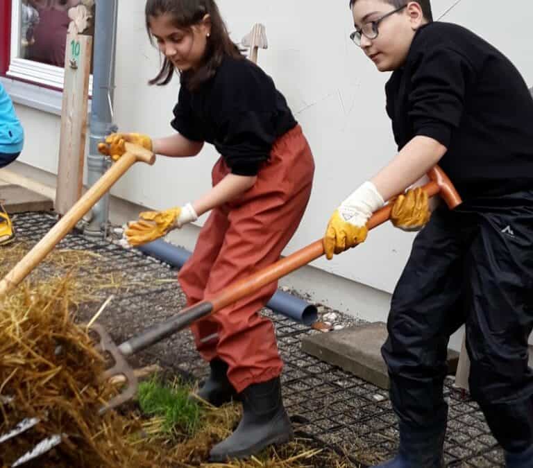 Schülerinnen und Schüler lernen von Experten: Beetvorbereitung für die kommende Acker-Saison