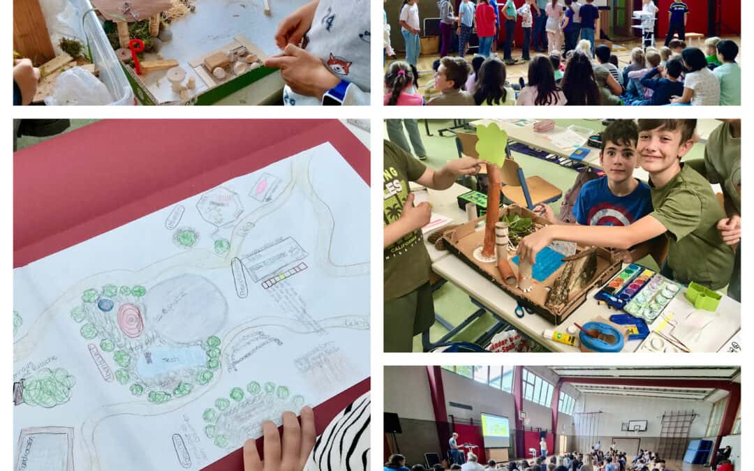 Die Rauchbeinschule gestaltet Zukunft: Ein Natur-Erlebnisraum entsteht